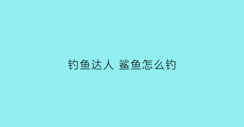 钓鱼达人鲨鱼怎么钓(我想看钓鲨鱼)